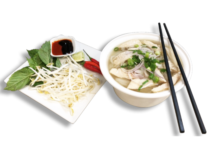 PHO - Chicken Noodle Soup
